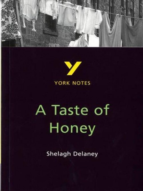 A Taste of Honey - GCSE York Notes Cover