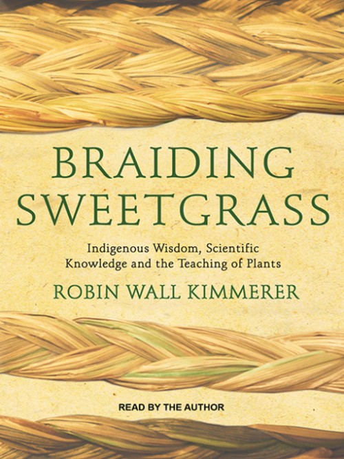 Braiding Sweetgrass Cover