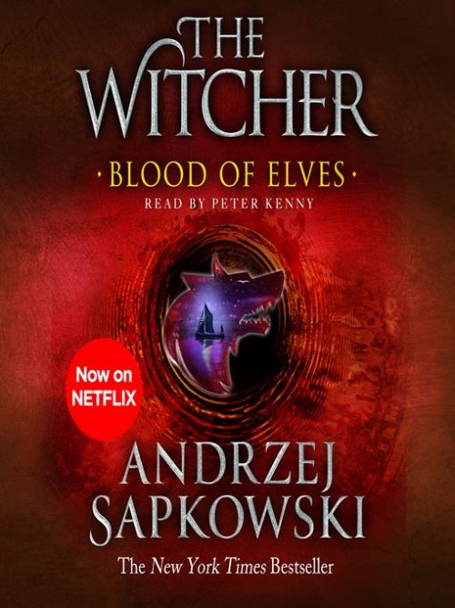 The Witcher Book 3: Blood of Elves Cover