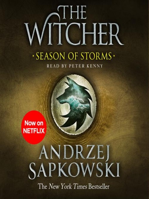The Witcher Book 8: Seasons of Storms Cover