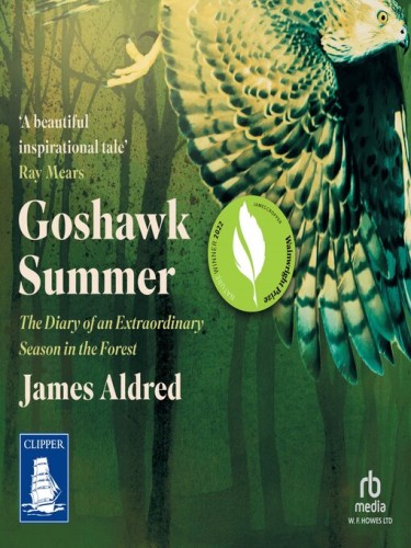 Goshawk Summer