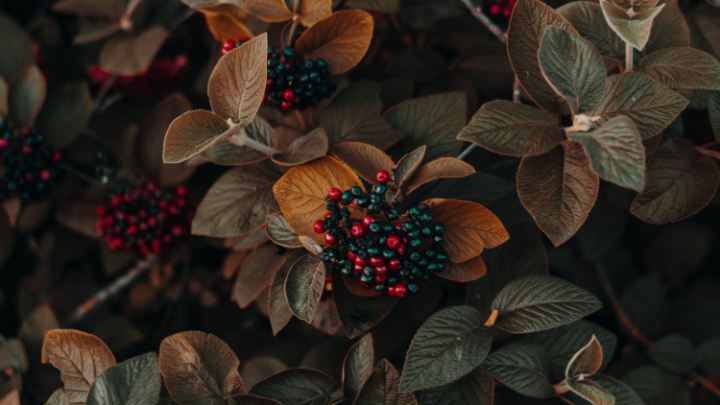 9 New Audiobooks for Autumn